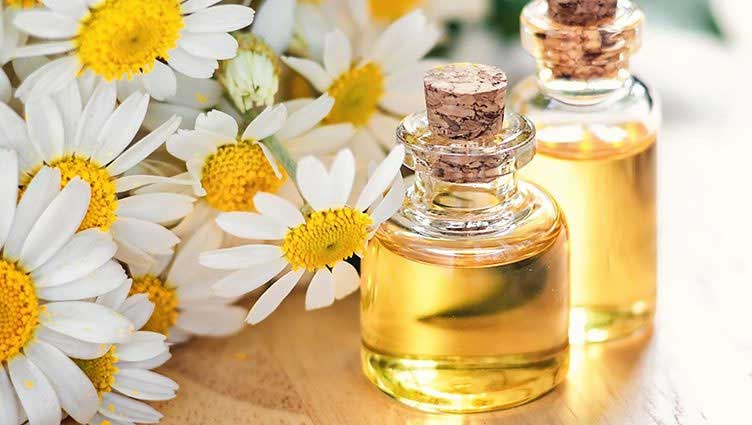 روغن بابونه